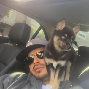 Meet your Posher, Peter